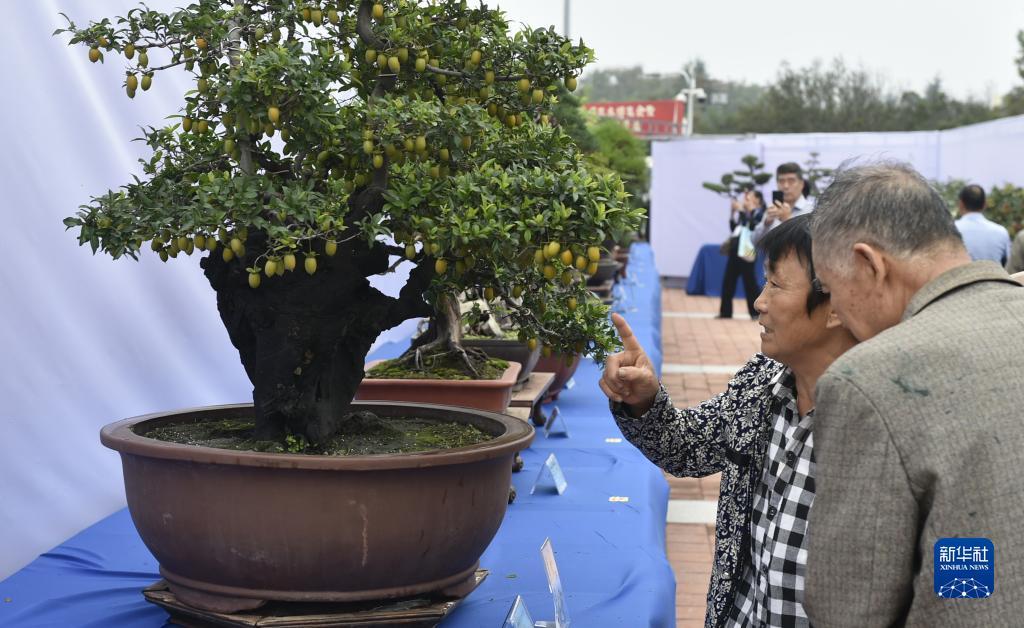 下载亚洲会